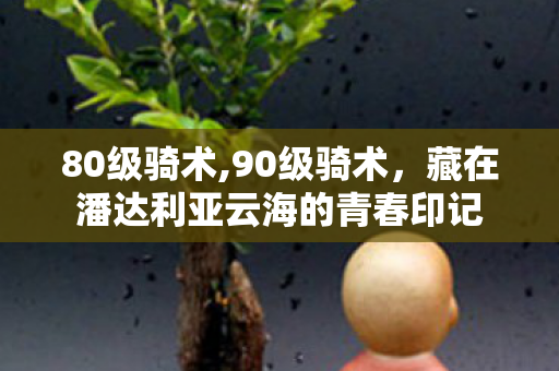 80级骑术,90级骑术,藏在潘达利亚云海的青春印记 80级骑术,90级骑术,藏在潘达利亚云海的青春印记