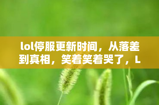 lol停服更新时间,从落差到真相,笑着笑着哭了,LOL停服后谁还在偷偷登录? lol停服更新时间,从落差到真相,笑着笑着哭了,LOL停服后谁还在偷偷登录?