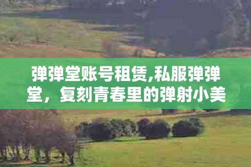 弹弹堂账号租赁,私服弹弹堂，复刻青春里的弹射小美好