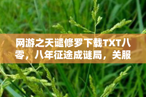 网游之天谴修罗下载TXT八零,八年征途成谜局,关服瞬间泪目崩网游之天谴修罗终章倒计时 网游之天谴修罗下载TXT八零,八年征途成谜局,关服瞬间泪目崩网游之天谴修罗终章倒计时