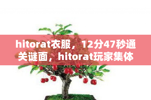 hitorat衣服,12分47秒通关谜面,hitorat玩家集体泪目于第37次死亡存档 hitorat衣服,12分47秒通关谜面,hitorat玩家集体泪目于第37次死亡存档