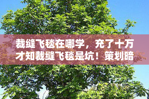裁缝飞毯在哪学,充了十万才知裁缝飞毯是坑!策划暗改爆率吓掉下巴 裁缝飞毯在哪学,充了十万才知裁缝飞毯是坑!策划暗改爆率吓掉下巴