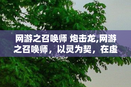 网游之召唤师 炮击龙,网游之召唤师，以灵为契，在虚拟世界书写独有的羁绊传奇