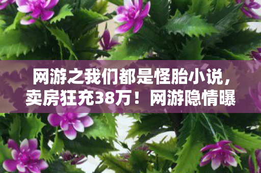 网游之我们都是怪胎小说，卖房狂充38万！网游隐情曝光，老婆签协议时我吓一跳！