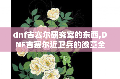 dnf吉赛尔研究室的东西,DNF吉赛尔近卫兵的徽章全用途解析 老玩家的青春道具藏着不少惊喜
