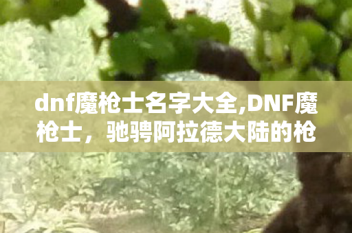 dnf魔枪士名字大全,DNF魔枪士，驰骋阿拉德大陆的枪锋行者