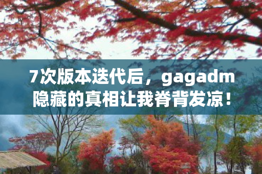 7次版本迭代后，gagadm隐藏的真相让我脊背发凉！