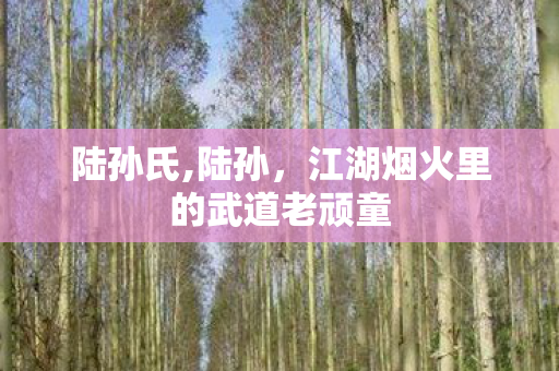 陆孙氏,陆孙，江湖烟火里的武道老顽童
