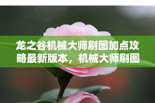 龙之谷机械大师刷图加点攻略最新版本,机械大师刷图加点大揭秘!99%玩家不知道的逆天配置! 龙之谷机械大师刷图加点攻略最新版本,机械大师刷图加点大揭秘!99%玩家不知道的逆天配置!