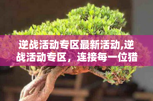 逆战活动专区最新活动,逆战活动专区,连接每一位猎场勇士的福利大本营 逆战活动专区最新活动,逆战活动专区,连接每一位猎场勇士的福利大本营