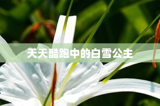 天天酷跑中的白雪公主图片
