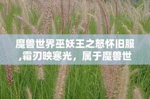 魔兽世界巫妖王之怒怀旧服,霜刃映寒光,属于魔兽世界巫妖王之怒的青春回响 魔兽世界巫妖王之怒怀旧服,霜刃映寒光,属于魔兽世界巫妖王之怒的青春回响