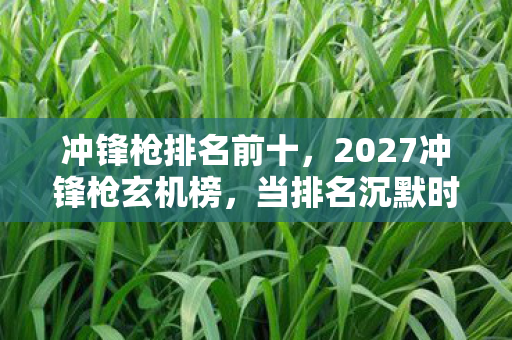 冲锋枪排名前十,2027冲锋枪玄机榜,当排名沉默时,这游戏究竟给了我什么? 冲锋枪排名前十,2027冲锋枪玄机榜,当排名沉默时,这游戏究竟给了我什么?