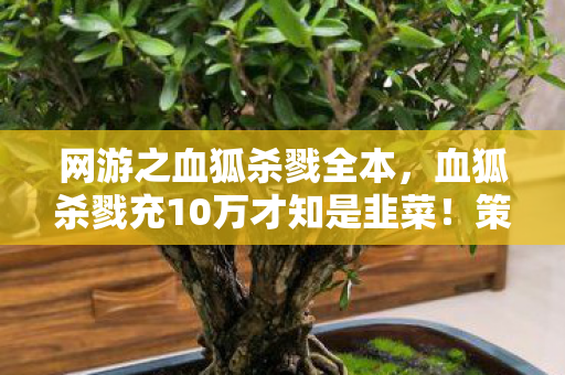 网游之血狐杀戮全本,血狐杀戮充10万才知是韭菜!策划暗改爆率坑哭土豪,这操作吓尿了! 网游之血狐杀戮全本,血狐杀戮充10万才知是韭菜!策划暗改爆率坑哭土豪,这操作吓尿了!