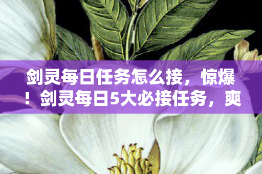 剑灵每日任务怎么接,惊爆!剑灵每日5大必接任务,爽玩体验直接拉满! 剑灵每日任务怎么接,惊爆!剑灵每日5大必接任务,爽玩体验直接拉满!
