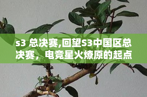 s3 总决赛,回望S3中国区总决赛,电竞星火燎原的起点时刻 s3 总决赛,回望S3中国区总决赛,电竞星火燎原的起点时刻
