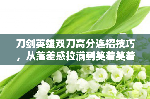 刀剑英雄双刀高分连招技巧,从落差感拉满到笑着笑着哭了,双刀连招真相竟让我破防 刀剑英雄双刀高分连招技巧,从落差感拉满到笑着笑着哭了,双刀连招真相竟让我破防