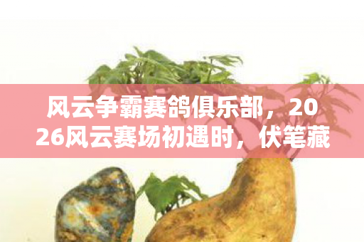 风云争霸赛鸽俱乐部,2026风云赛场初遇时,伏笔藏尽青春事,如今想起鼻子一酸 风云争霸赛鸽俱乐部,2026风云赛场初遇时,伏笔藏尽青春事,如今想起鼻子一酸