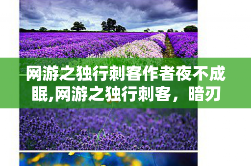 网游之独行刺客作者夜不成眠,网游之独行刺客,暗刃踏遍无人径 网游之独行刺客作者夜不成眠,网游之独行刺客,暗刃踏遍无人径