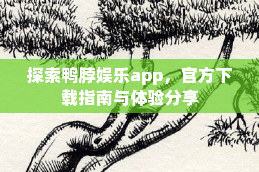 官方下载指南与体验分享图片