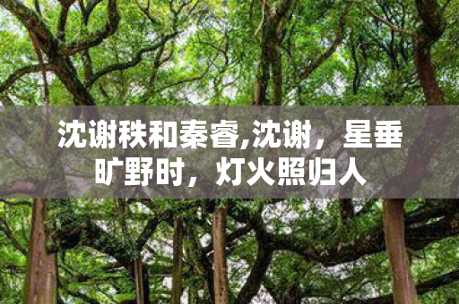 沈谢秩和秦睿,沈谢,星垂旷野时,灯火照归人 沈谢秩和秦睿,沈谢,星垂旷野时,灯火照归人