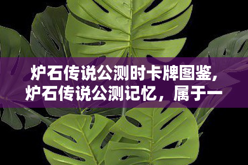 炉石传说公测时卡牌图鉴,炉石传说公测记忆,属于一代人的卡牌青春序章 炉石传说公测时卡牌图鉴,炉石传说公测记忆,属于一代人的卡牌青春序章