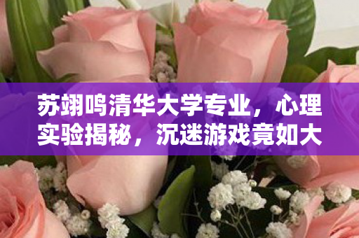 苏翊鸣清华大学专业,心理实验揭秘,沉迷游戏竟如大脑手术?苏翊鸣录取通知书背后的细思极恐 苏翊鸣清华大学专业,心理实验揭秘,沉迷游戏竟如大脑手术?苏翊鸣录取通知书背后的细思极恐