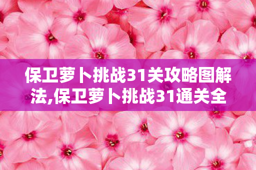 保卫萝卜挑战31关攻略图解法,保卫萝卜挑战31通关全指南,藏在地图细节里的快乐密码 保卫萝卜挑战31关攻略图解法,保卫萝卜挑战31通关全指南,藏在地图细节里的快乐密码