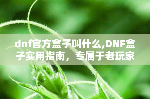 dnf官方盒子叫什么,DNF盒子实用指南，专属于老玩家的经典游戏回忆
