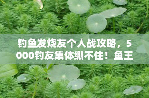 钓鱼发烧友个人战攻略,5000钓友集体绷不住!鱼王爆率疑云,是玄学还是官方暗改? 钓鱼发烧友个人战攻略,5000钓友集体绷不住!鱼王爆率疑云,是玄学还是官方暗改?