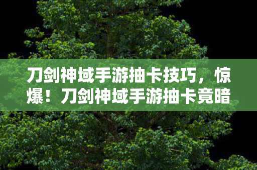 刀剑神域手游抽卡技巧,惊爆!刀剑神域手游抽卡竟暗藏99%玩家不知的玄机? 刀剑神域手游抽卡技巧,惊爆!刀剑神域手游抽卡竟暗藏99%玩家不知的玄机?