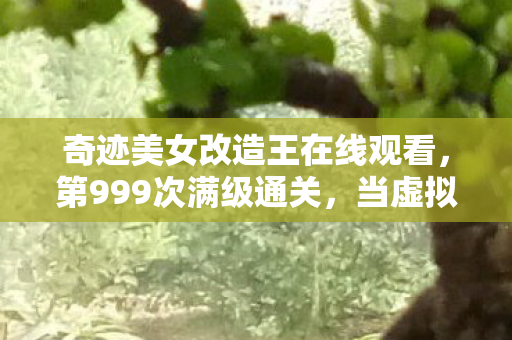 奇迹美女改造王在线观看,第999次满级通关,当虚拟王冠压碎现实脊梁的悖论时刻 奇迹美女改造王在线观看,第999次满级通关,当虚拟王冠压碎现实脊梁的悖论时刻