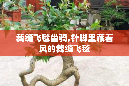 裁缝飞毯坐骑,针脚里藏着风的裁缝飞毯 裁缝飞毯坐骑,针脚里藏着风的裁缝飞毯
