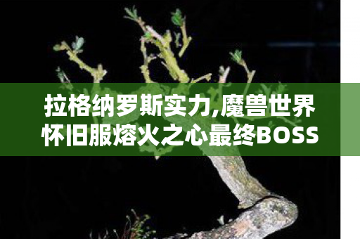 拉格纳罗斯实力,魔兽世界怀旧服熔火之心最终BOSS拉格纳罗斯全阶段打法攻略 拉格纳罗斯实力,魔兽世界怀旧服熔火之心最终BOSS拉格纳罗斯全阶段打法攻略