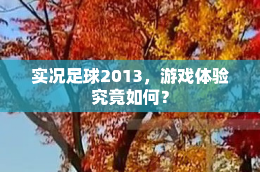 实况足球2013图片