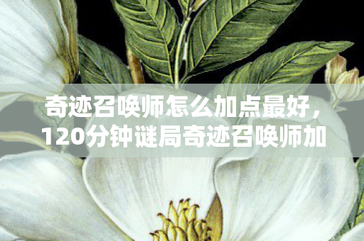 奇迹召唤师怎么加点最好,120分钟谜局奇迹召唤师加点迷途,百万玩家泪目死亡时间线 奇迹召唤师怎么加点最好,120分钟谜局奇迹召唤师加点迷途,百万玩家泪目死亡时间线