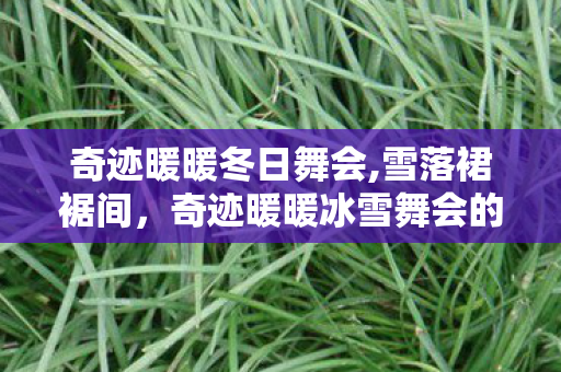 奇迹暖暖冬日舞会,雪落裙裾间,奇迹暖暖冰雪舞会的冬日专属浪漫 奇迹暖暖冬日舞会,雪落裙裾间,奇迹暖暖冰雪舞会的冬日专属浪漫