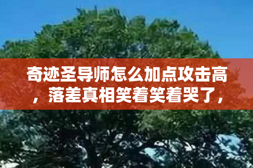 奇迹圣导师怎么加点攻击高,落差真相笑着笑着哭了,嘴上说退坑,奇迹圣导师加点还是偷偷查攻略! 奇迹圣导师怎么加点攻击高,落差真相笑着笑着哭了,嘴上说退坑,奇迹圣导师加点还是偷偷查攻略!