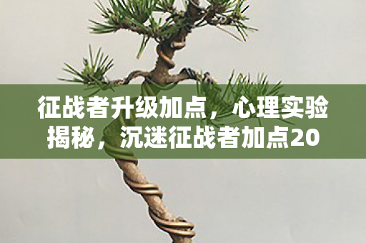 征战者升级加点，心理实验揭秘，沉迷征战者加点2023，细思极恐的多巴胺陷阱