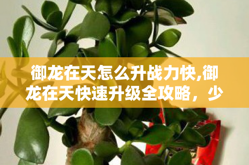 御龙在天怎么升战力快,御龙在天快速升级全攻略，少走弯路高效冲级的实用技巧