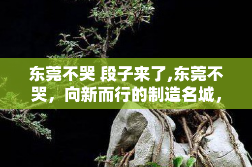 东莞不哭 段子来了,东莞不哭,向新而行的制造名城,永远有滚烫的向上力量 东莞不哭 段子来了,东莞不哭,向新而行的制造名城,永远有滚烫的向上力量
