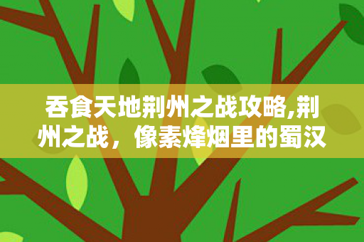 吞食天地荆州之战攻略,荆州之战，像素烽烟里的蜀汉崛起起点