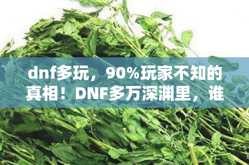 dnf多玩，90%玩家不知的真相！DNF多万深渊里，谁在吞噬你的热血与青春？