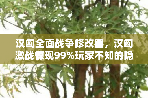 汉匈全面战争修改器，汉匈激战惊现99%玩家不知的隐藏补丁！战力飙升300%的真相竟是…