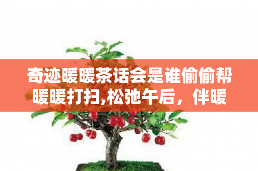 奇迹暖暖茶话会是谁偷偷帮暖暖打扫图片