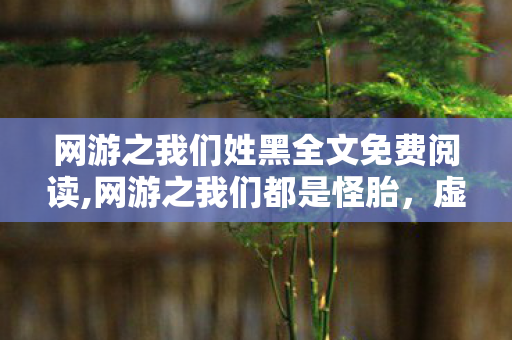 网游之我们姓黑全文免费阅读图片