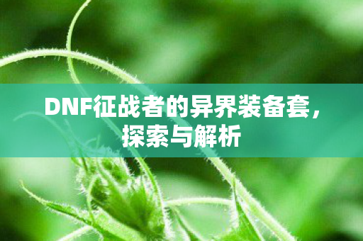DNF征战者的异界装备套图片
