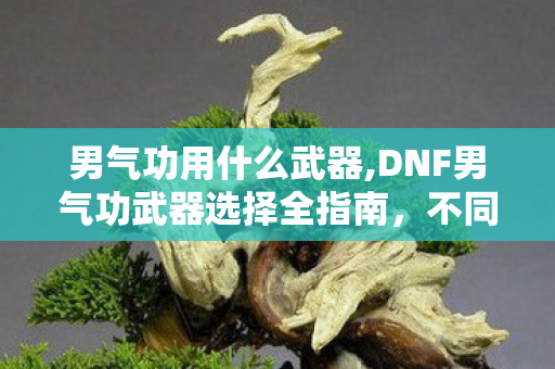 DNF男气功武器选择全指南图片