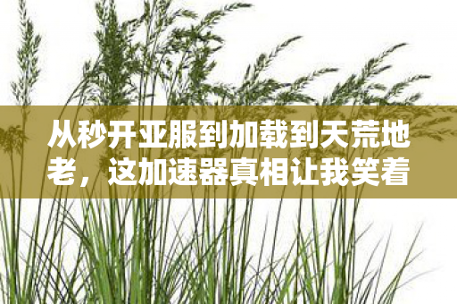 这加速器真相让我笑着骂完又哭着充了图片