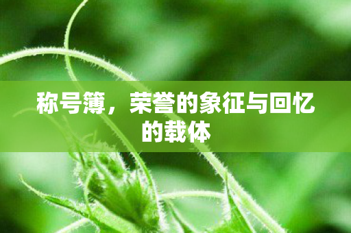荣誉的象征与回忆的载体图片